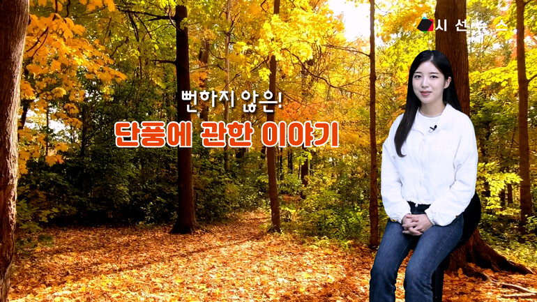 [사진출처 : 위키피디아 ,언스플레쉬,픽셀스]