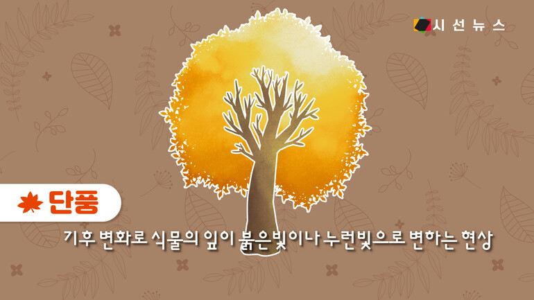 [사진출처 : 위키피디아 ,언스플레쉬,픽셀스]