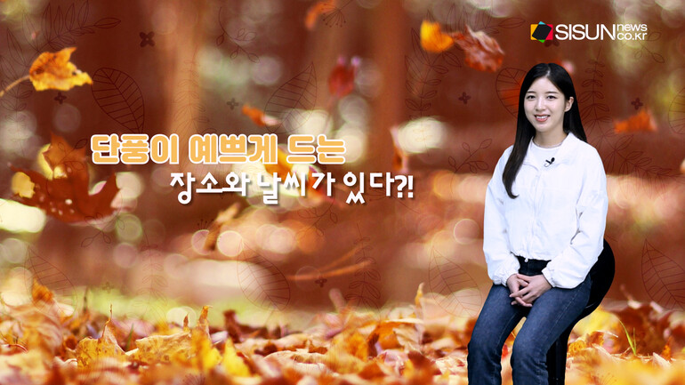 [사진출처 : 위키피디아 ,언스플레쉬,픽셀스]