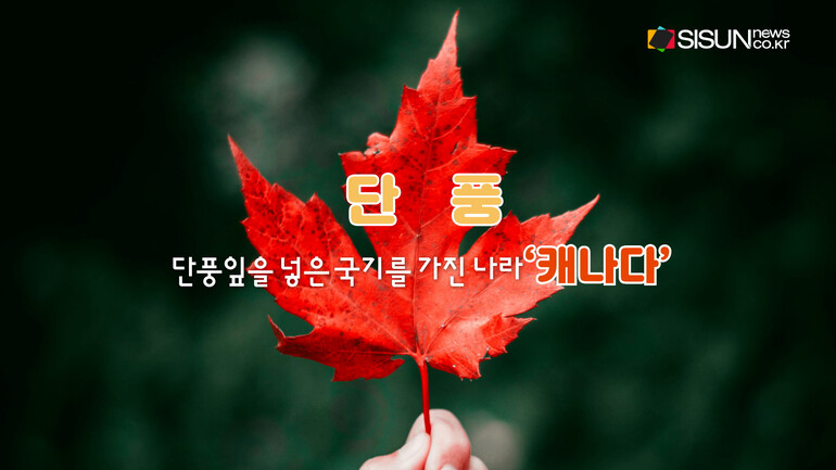 [사진출처 : 위키피디아 ,언스플레쉬,픽셀스]