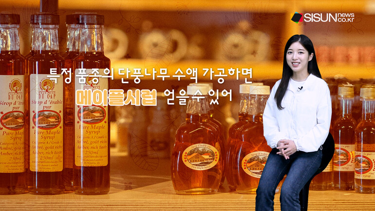 [사진출처 : 위키피디아 ,언스플레쉬,픽셀스]