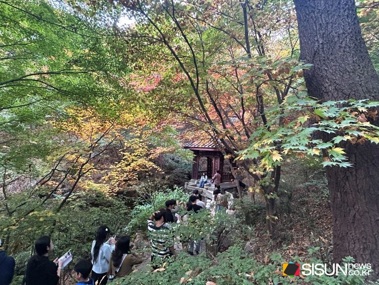 ⓒ지식교양 전문채널-시선뉴스