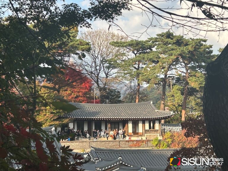 ⓒ지식교양 전문채널-시선뉴스