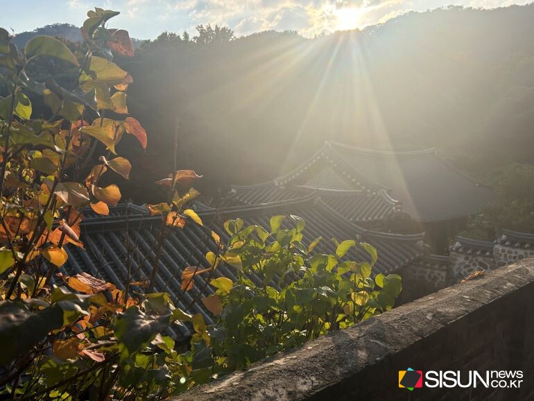 ⓒ지식교양 전문채널-시선뉴스