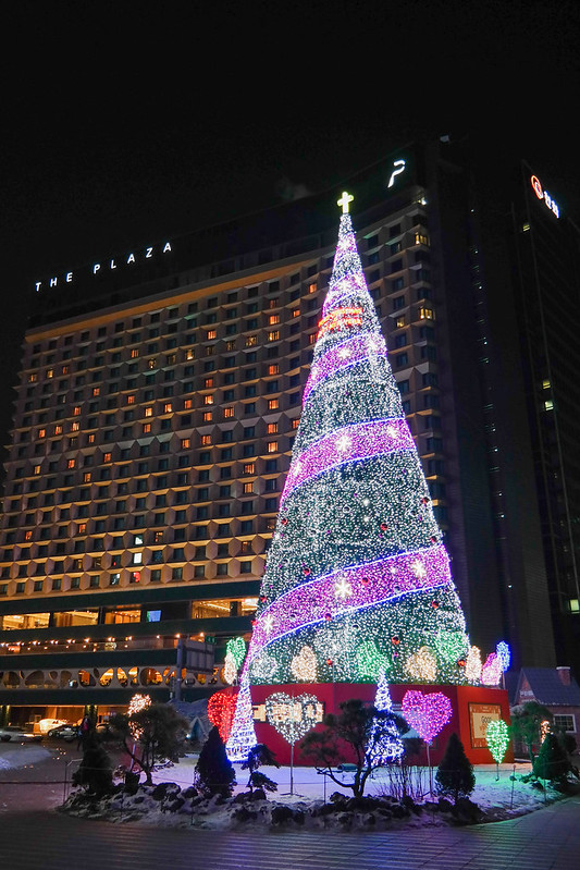 서울의 크리스마스 트리 [사진/Flickr]