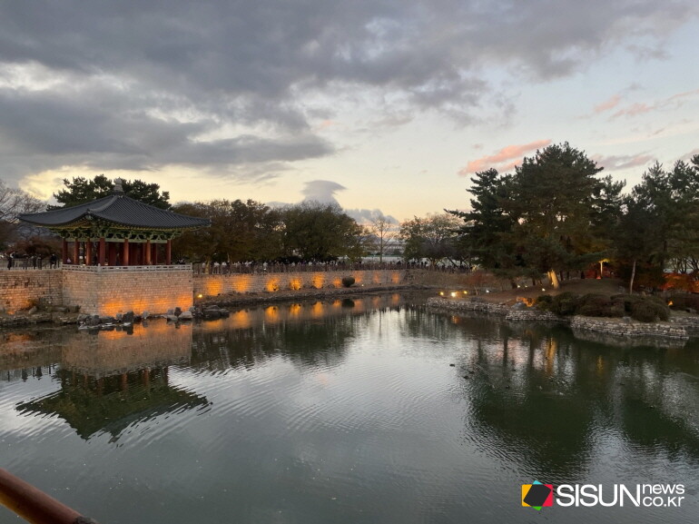 ⓒ지식교양 전문채널-시선뉴스