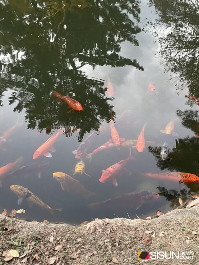 ⓒ지식교양 전문채널-시선뉴스