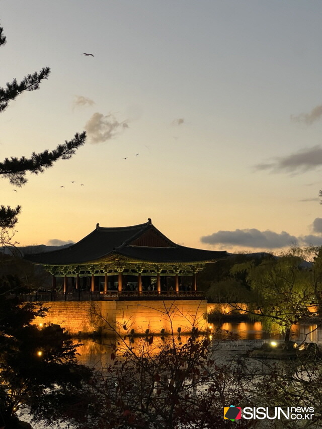 ⓒ지식교양 전문채널-시선뉴스