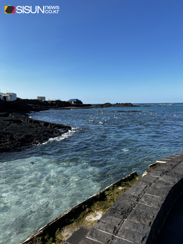 ⓒ지식교양 전문채널-시선뉴스