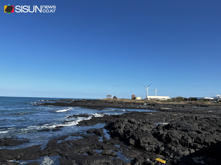 ⓒ지식교양 전문채널-시선뉴스