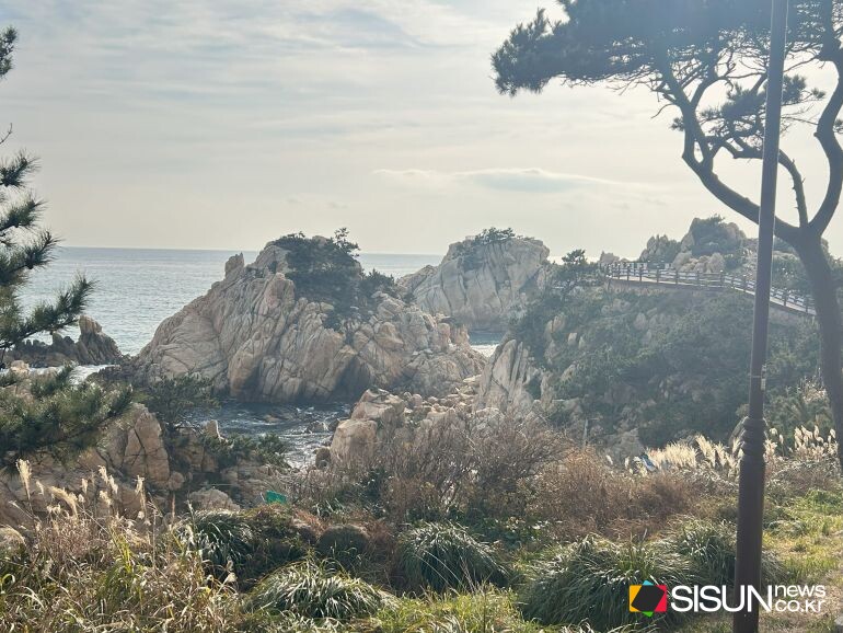 ⓒ지식교양 전문채널-시선뉴스