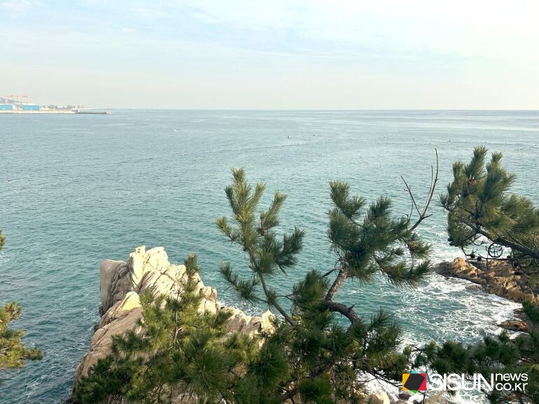 ⓒ지식교양 전문채널-시선뉴스