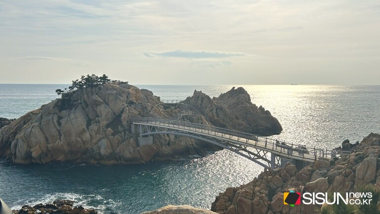 ⓒ지식교양 전문채널-시선뉴스