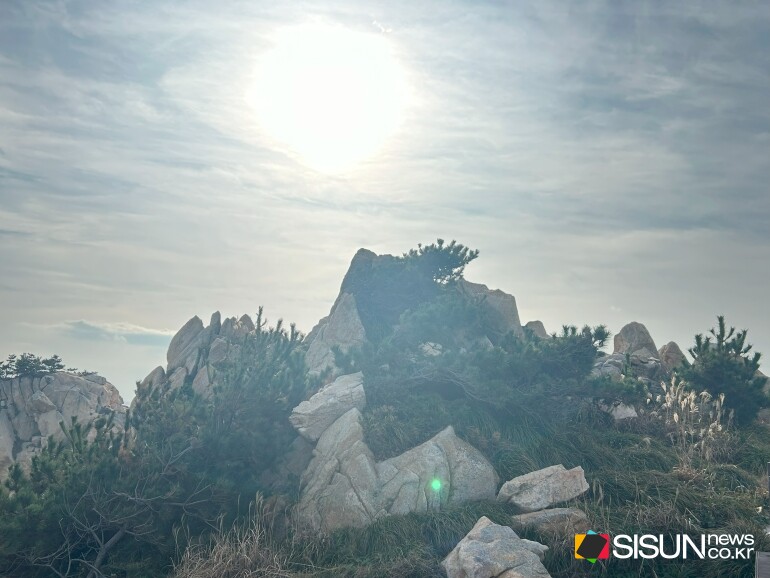 ⓒ지식교양 전문채널-시선뉴스