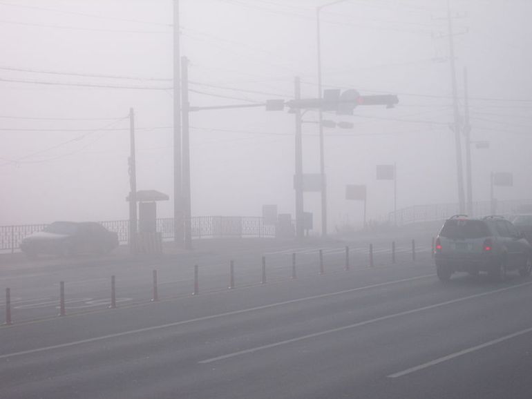 본문 내용과 직접 관련 없음 [사진/위키미디어]