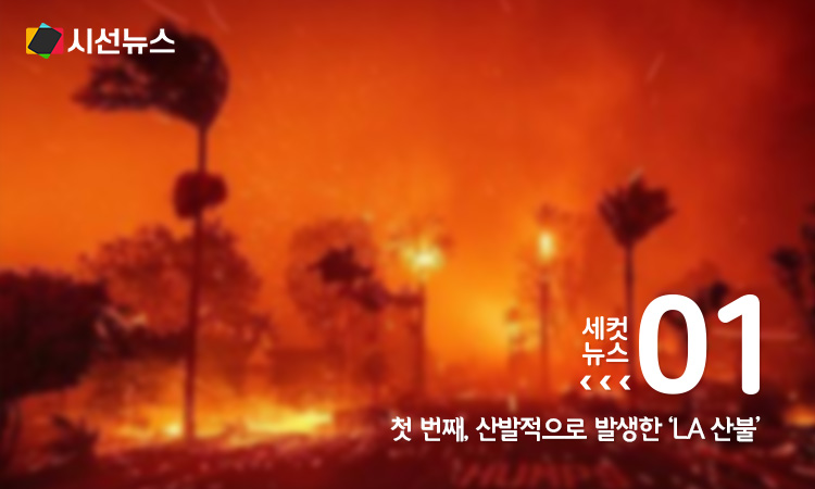 LA 산불 [사진/UPI 연합뉴스]