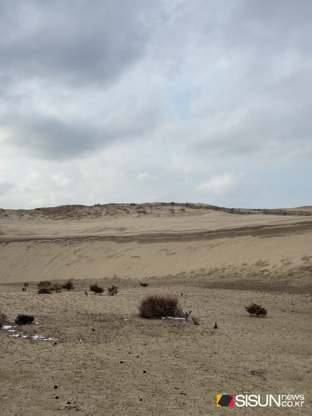 신두리 해안사구 / ⓒ지식교양 전문채널-시선뉴스