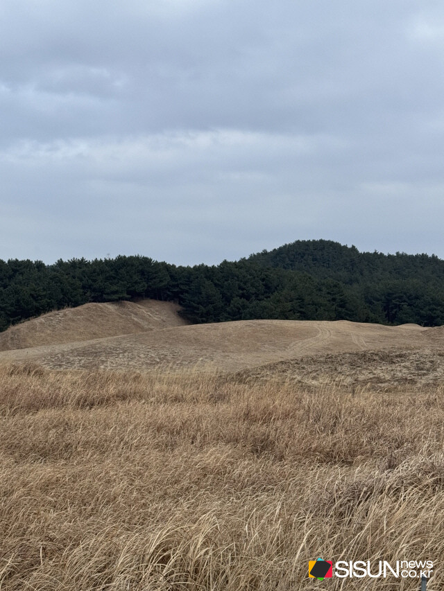억새골 / ⓒ지식교양 전문채널-시선뉴스