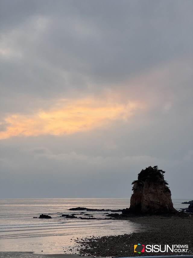 ⓒ지식교양 전문채널-시선뉴스