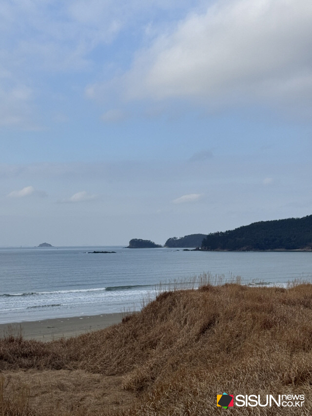 ⓒ지식교양 전문채널-시선뉴스