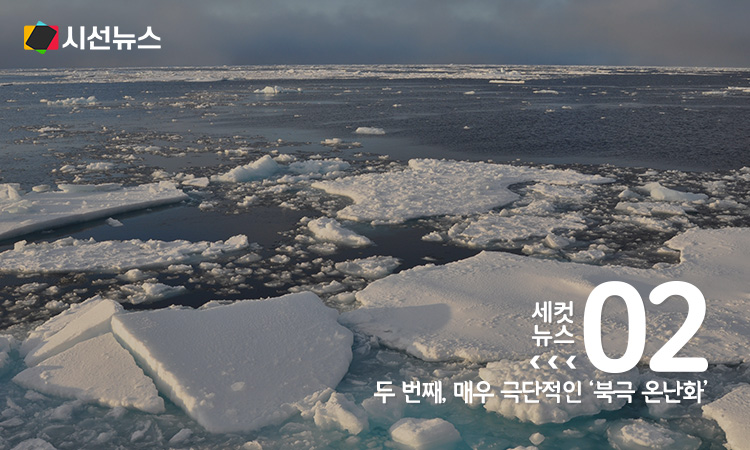 [사진/위키피디아]