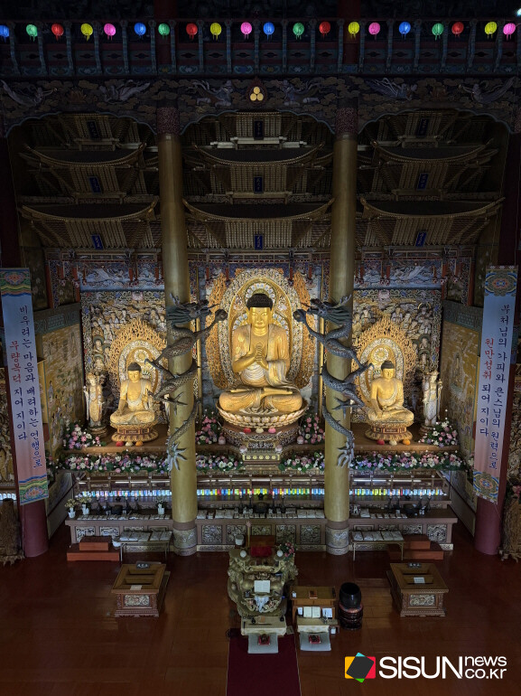 ⓒ지식교양 전문채널-시선뉴스