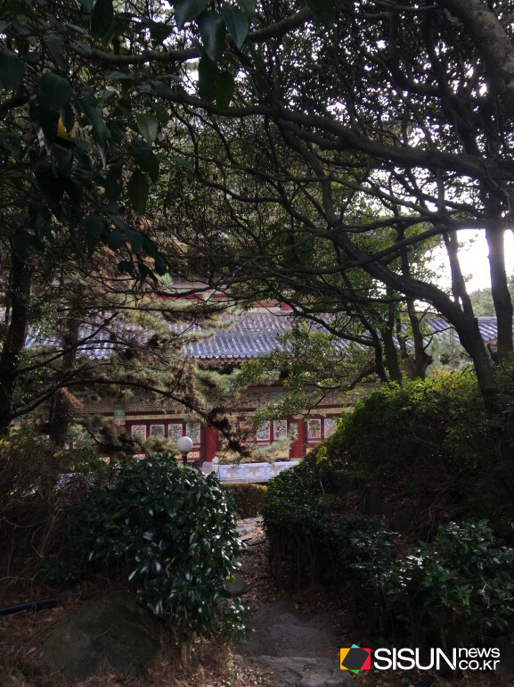 ⓒ지식교양 전문채널-시선뉴스