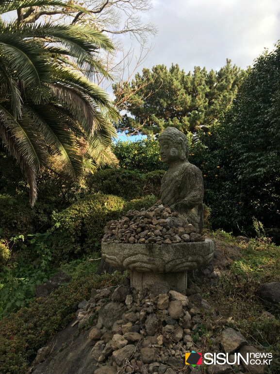 ⓒ지식교양 전문채널-시선뉴스