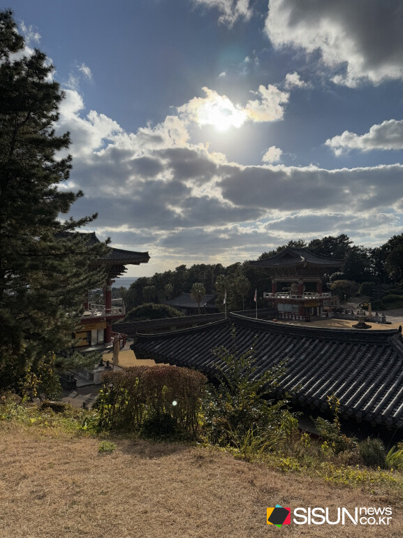 ⓒ지식교양 전문채널-시선뉴스