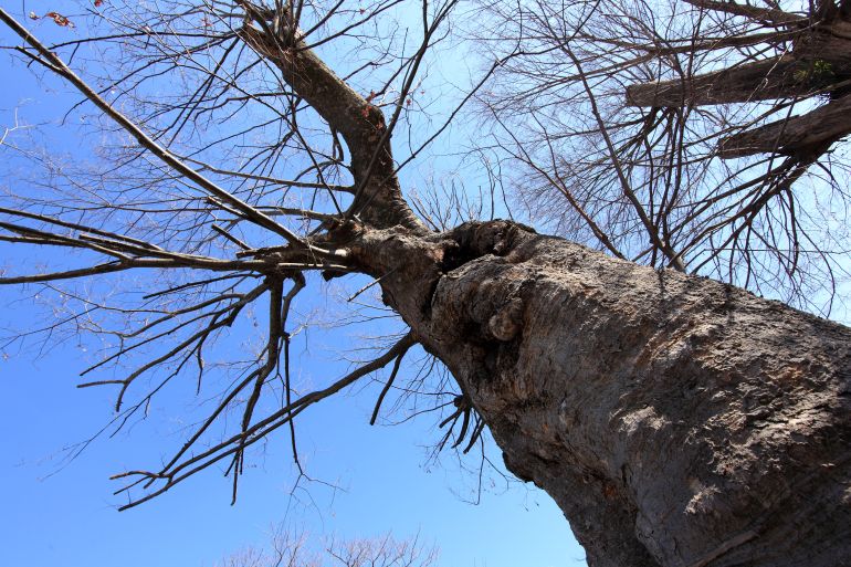 본문 내용과 직접 관련 없음 [사진/Pxhere]