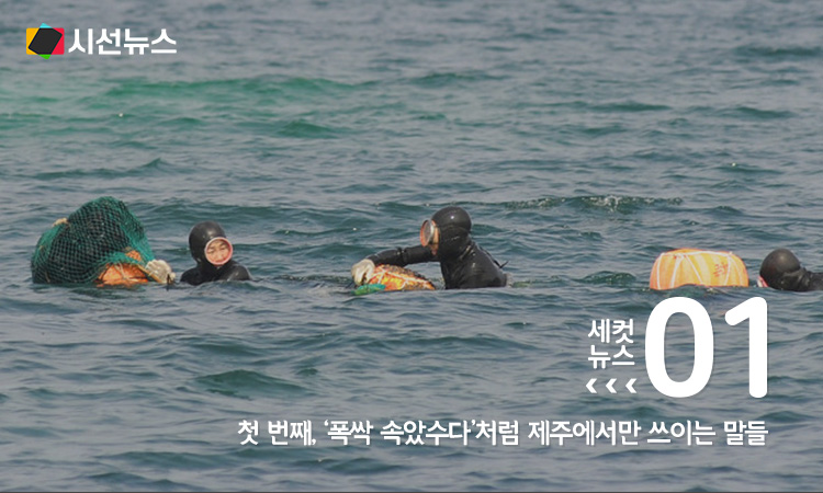 [사진/위키피디아]