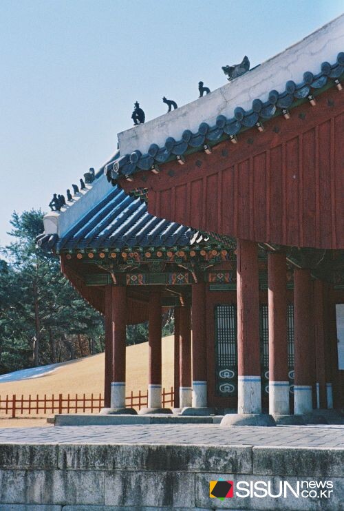 ⓒ지식교양 전문채널-시선뉴스