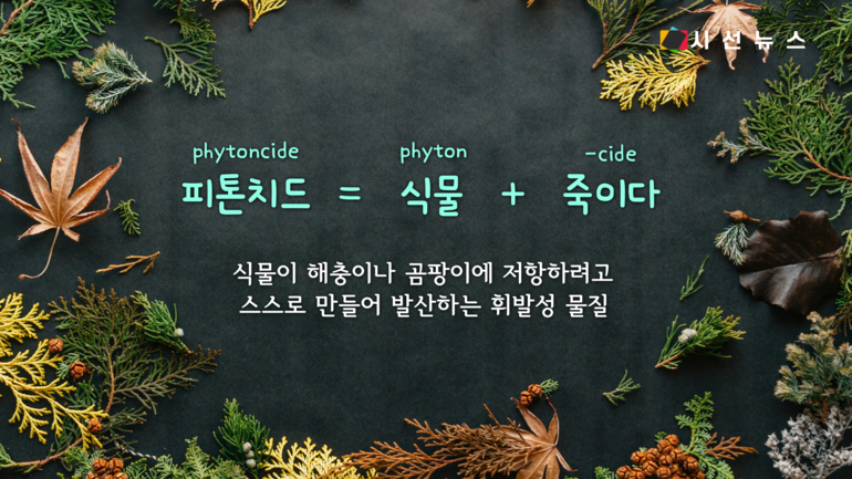 [이미지 출처 : 언스플레쉬, 위키미디어, 픽사베이, 픽셀스]