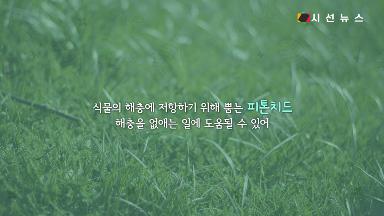 [이미지 출처 : 언스플레쉬, 위키미디어, 픽사베이, 픽셀스]