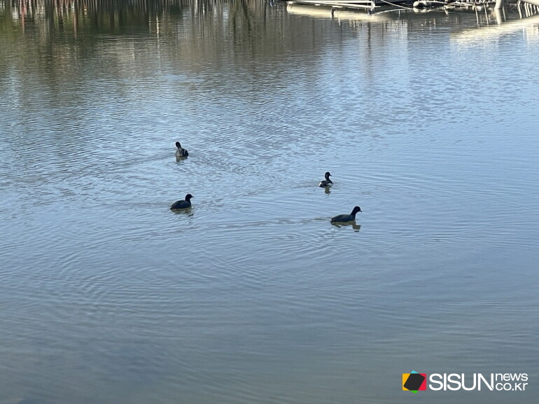 ⓒ지식교양 전문채널-시선뉴스