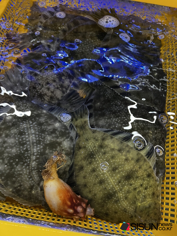 ⓒ지식교양 전문채널-시선뉴스