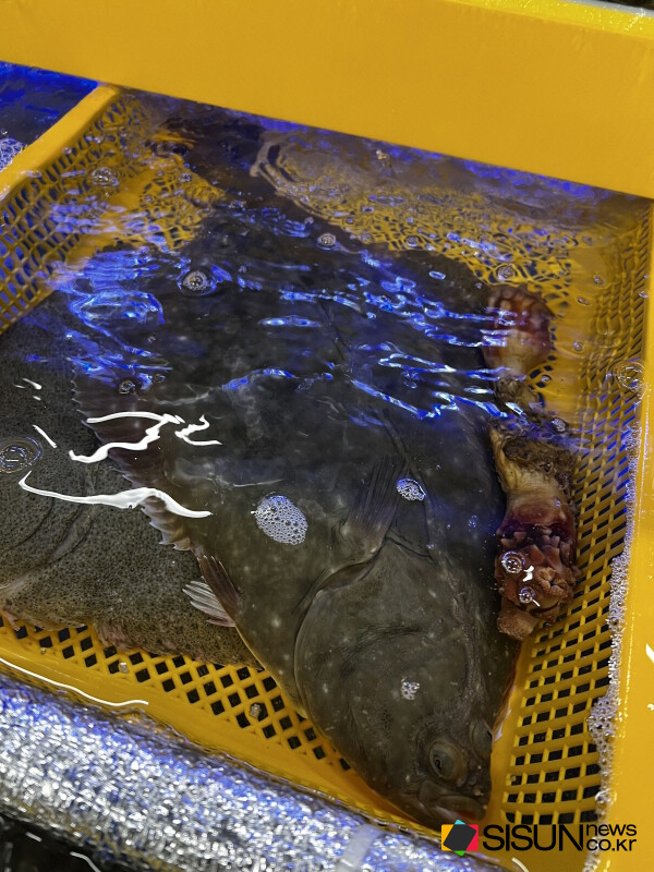 ⓒ지식교양 전문채널-시선뉴스