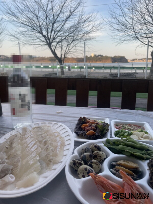 ⓒ지식교양 전문채널-시선뉴스