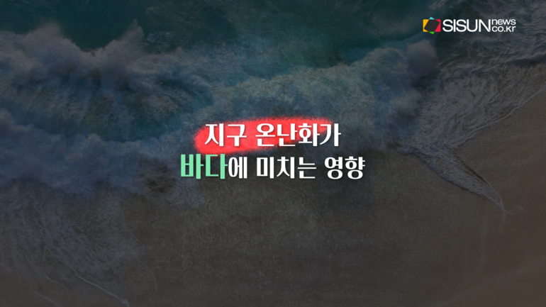 [사진출처 :픽셀스, 픽사베이, 언스플래쉬, 위키피디아]