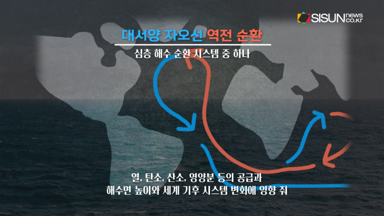 [사진출처 :픽셀스, 픽사베이, 언스플래쉬, 위키피디아]