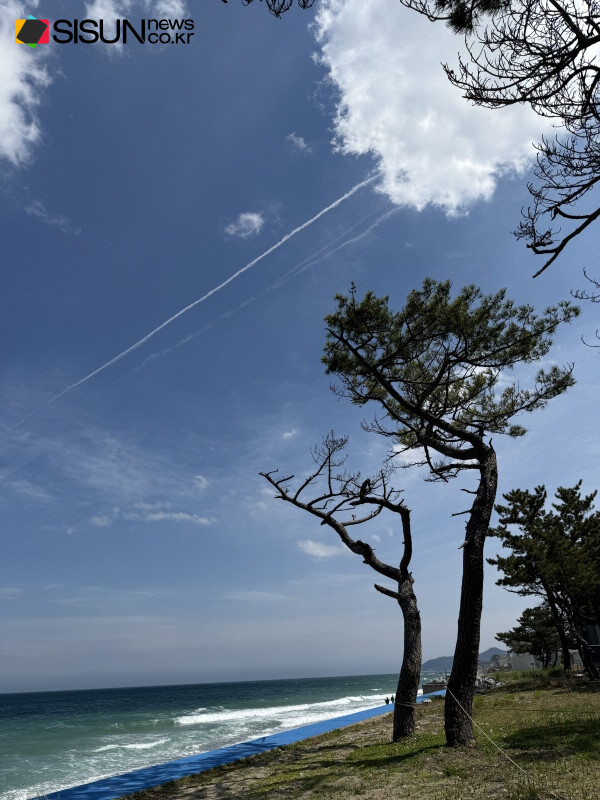 ⓒ지식교양 전문채널-시선뉴스