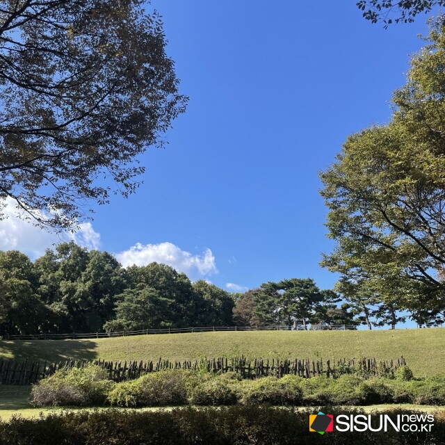 몽촌토성 목책 ⓒ지식교양 전문채널-시선뉴스