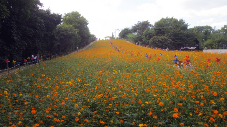 들꽃마루 / 올림픽공원 홈페이지