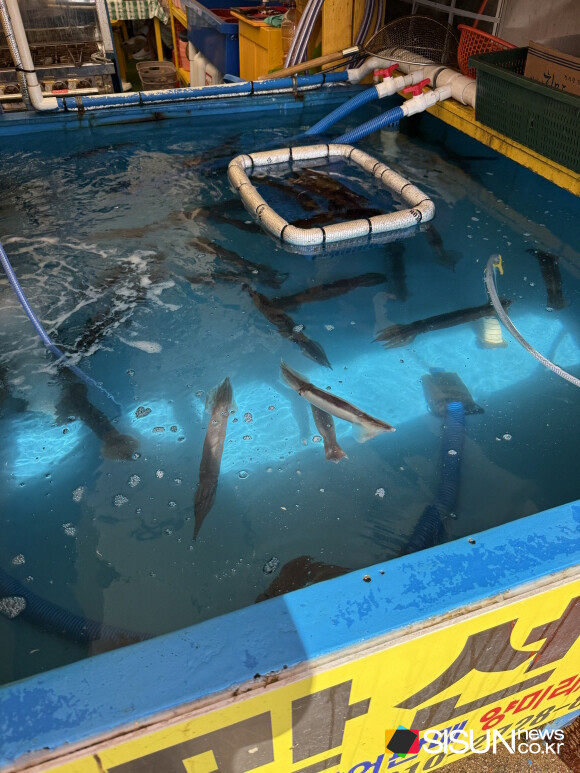 ⓒ지식교양 전문채널-시선뉴스