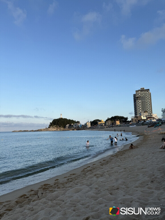 ⓒ지식교양 전문채널-시선뉴스