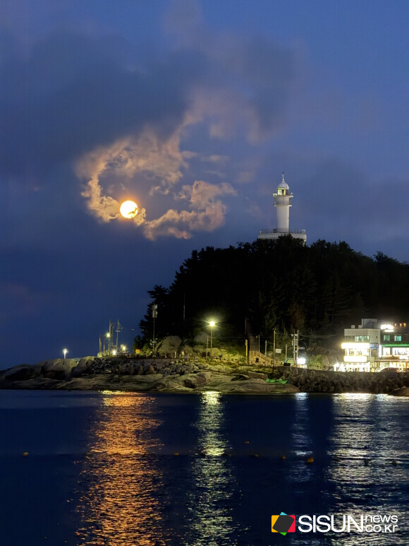 ⓒ지식교양 전문채널-시선뉴스