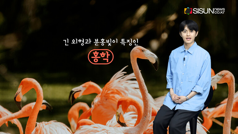 [사진출처 : 언스플래쉬, 픽셀스]