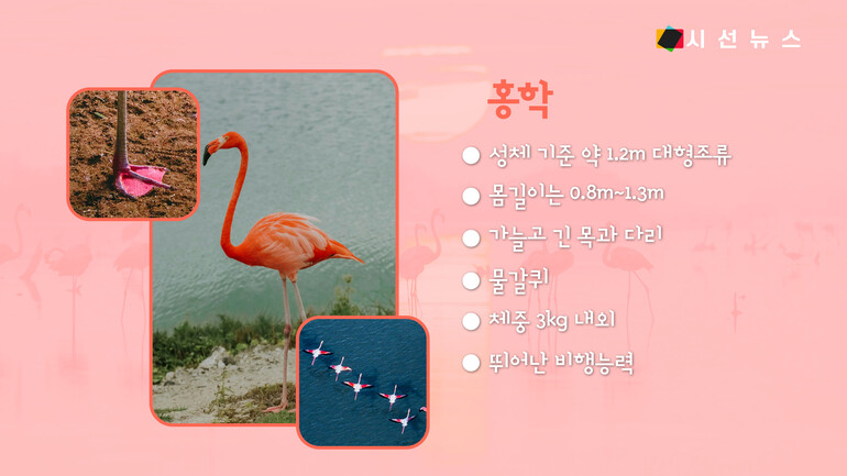 [사진출처 : 언스플래쉬, 픽셀스]