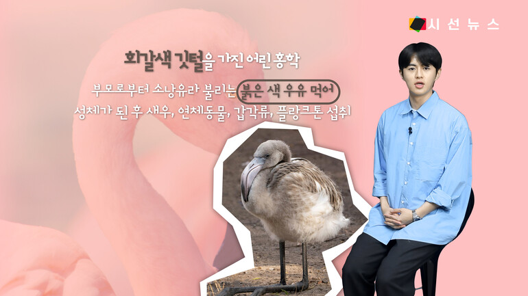 [사진출처 : 언스플래쉬, 픽셀스]