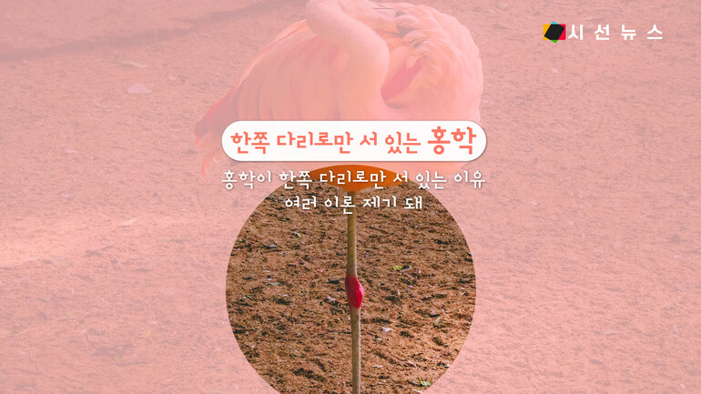 [사진출처 : 언스플래쉬, 픽셀스]